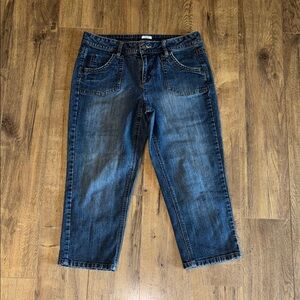 liz & co. Women's Dark Blue Ankle Jeans